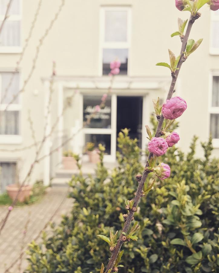 Hotel Gramlich Heddesheim Eksteriør bilde